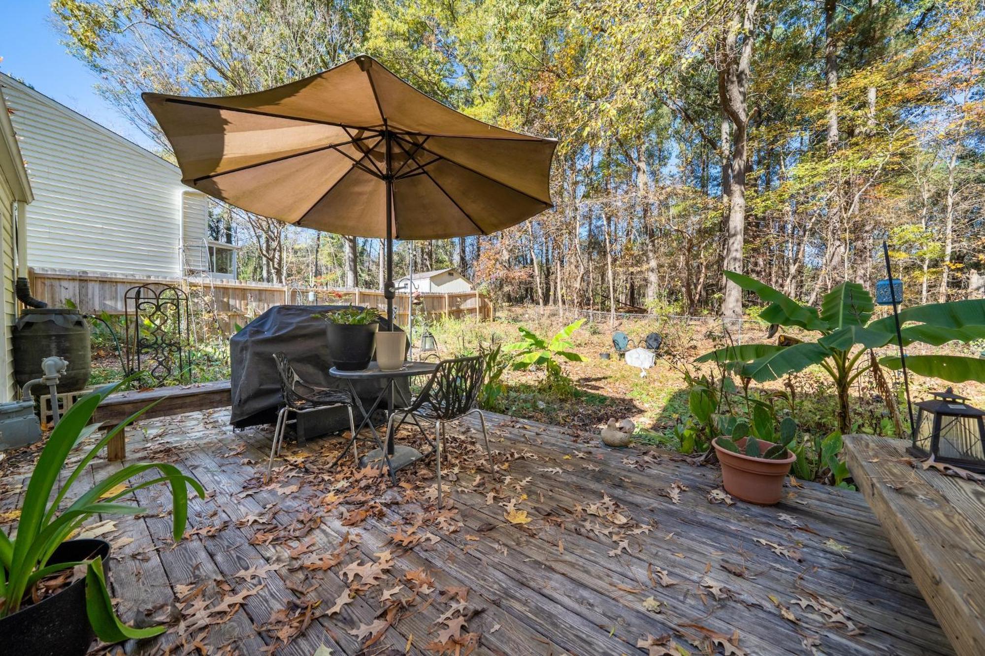 Birdwatchers 3Br Escape Near Raleigh Trails & Ncsu Zewnętrze zdjęcie